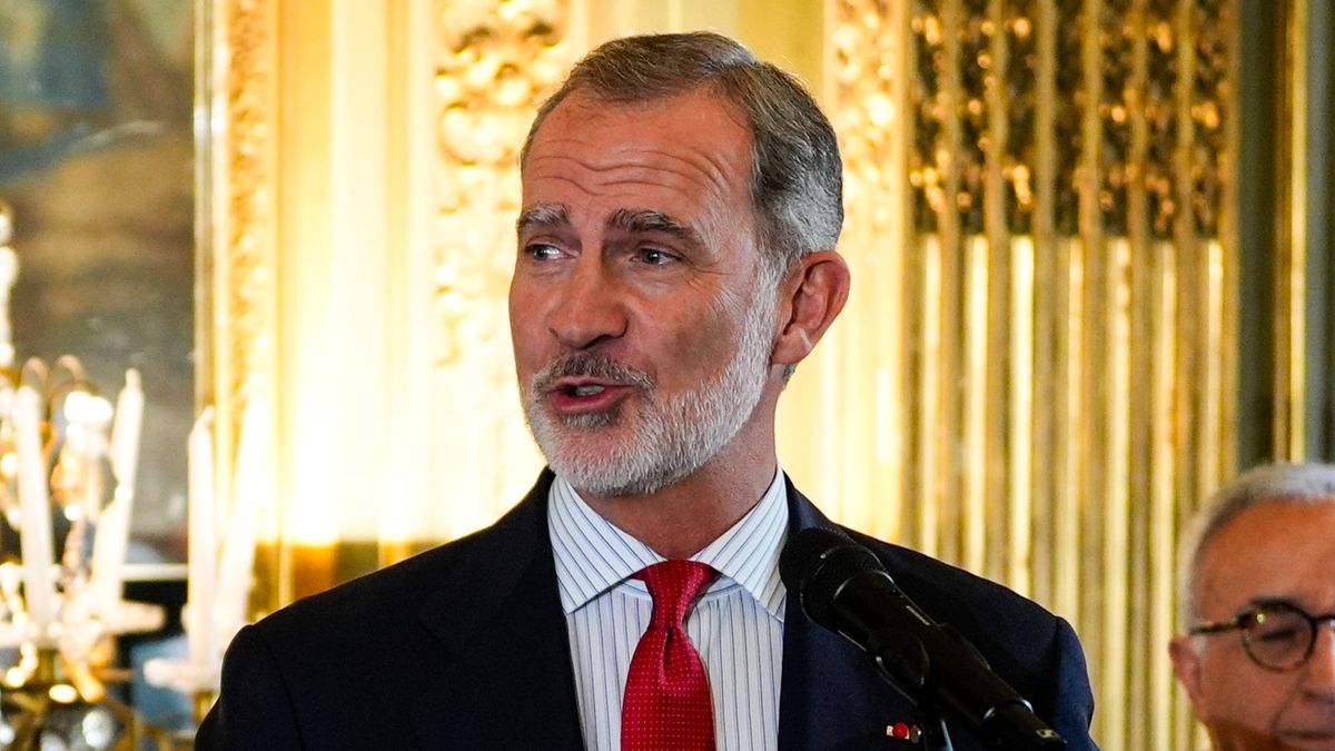 Felipe VI, en la recepción del equipo español a los Juegos Olímpicos