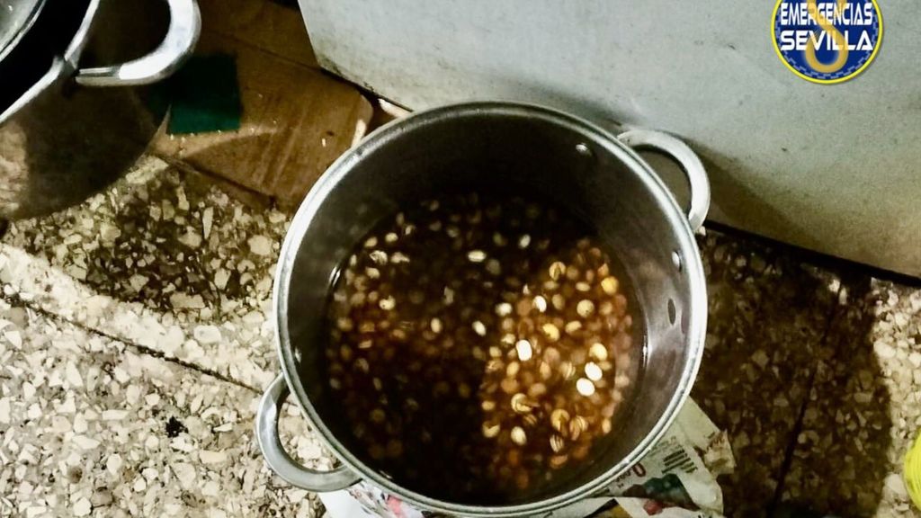 Olla de caracoles en el suelo