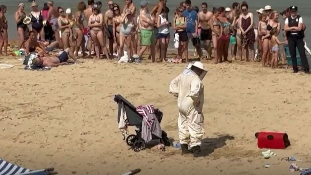 Alarma en la playa de la Concha: un enjambre de abejas invade un carrito de bebé