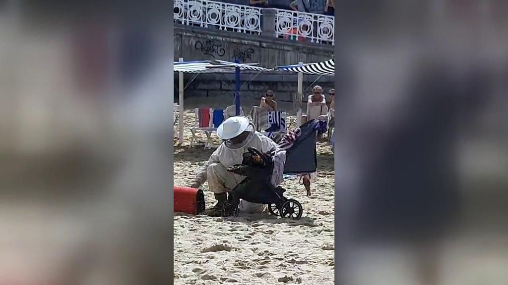 Un enjambre de abejas causa revuelo en una playa de San Sebastián al invadir un carrito de bebé