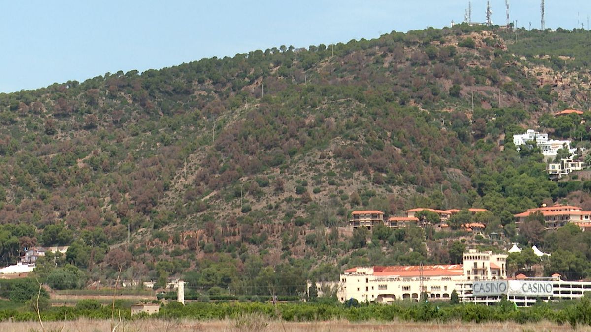 La ladera de Puçol gris por la sequía