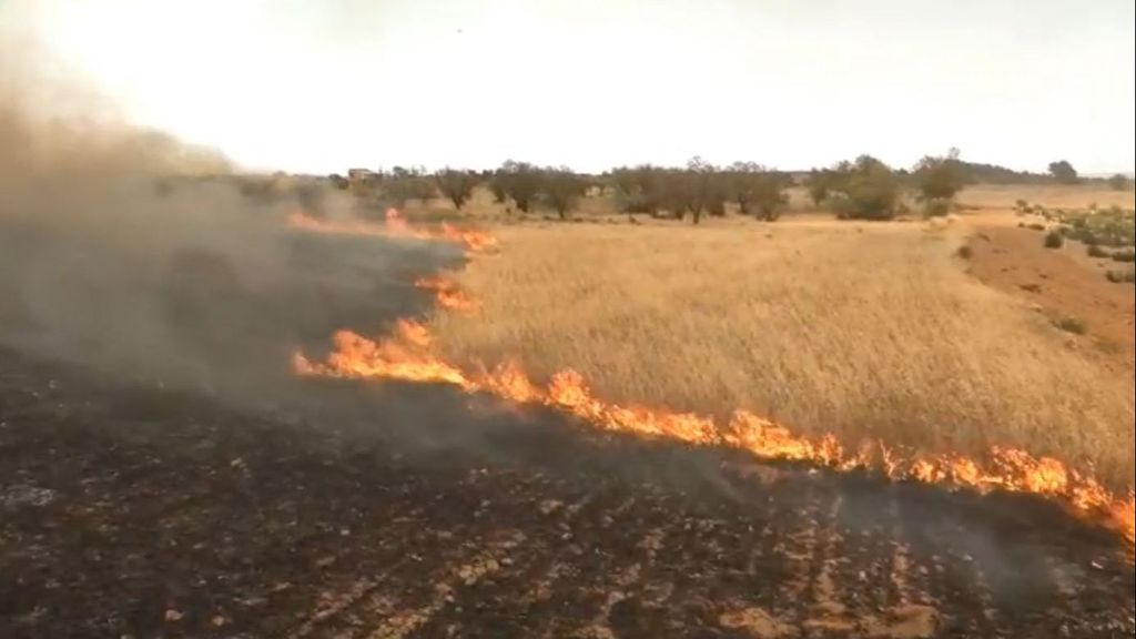 Estabilizado un incendio en Ciutadilla, en Lleida, tras afectar 209 hectáreas: se originó por una máquina recolectora