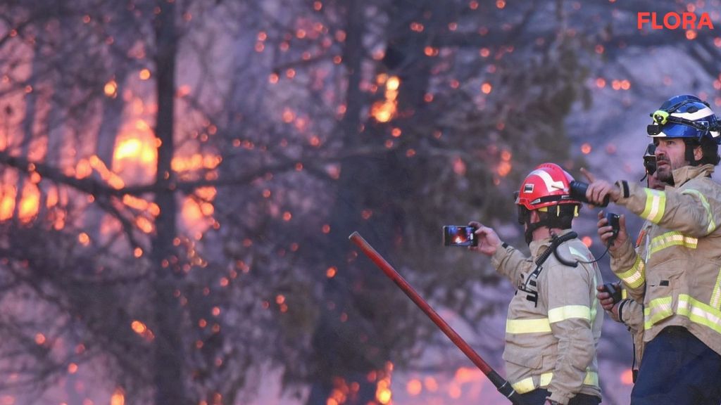 Por qué se producen incendios forestales en verano Informativos Telecinco Tiempo de Flora 148