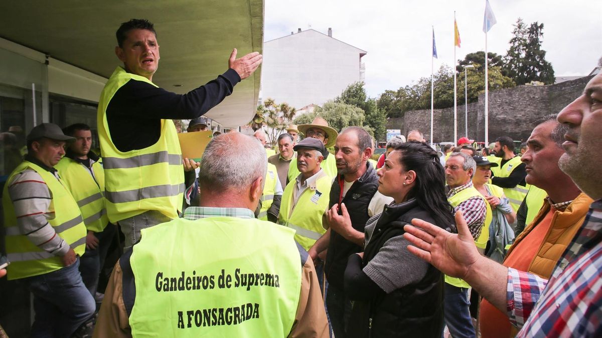 Ganaderos de Ternera Suprema en huelga