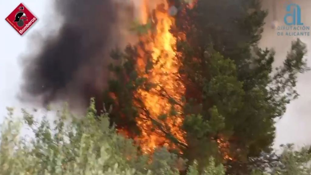 Las imágenes del incendio de Alicante