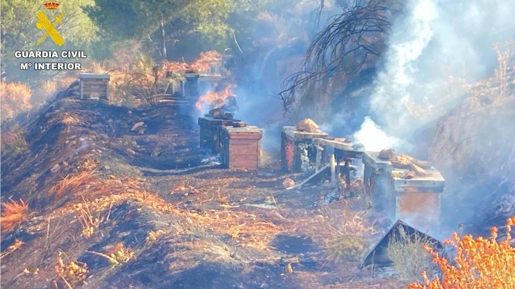 Incendio forestal en Turón en una zona de colmenas