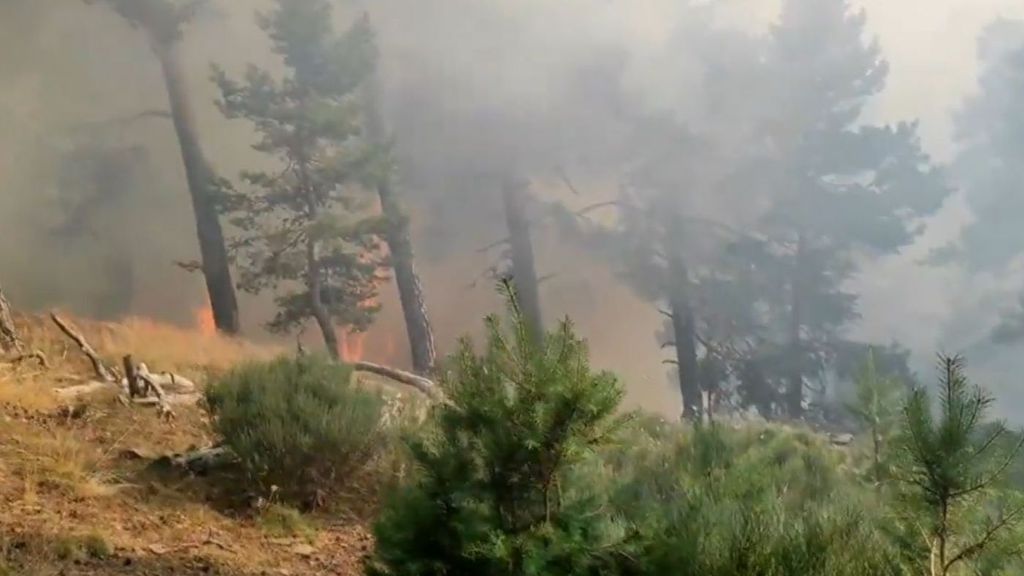 Incendio forestal en El Espinar, en Segovia: mas de una veintena de medios aéreos y terrestres en la zona