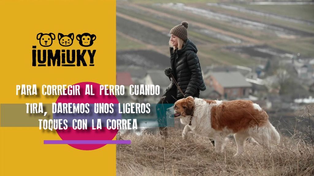 El buen uso de la correa Iumiuky Temporada 3 Programa 226