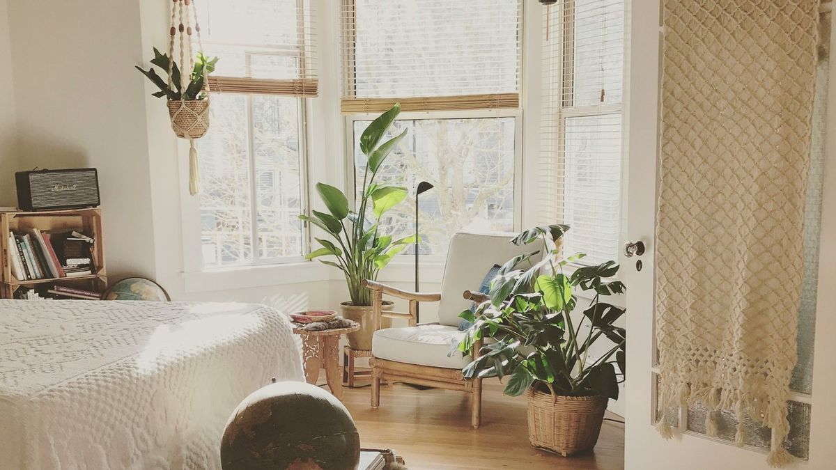 Algunas plantas de interior atraen buenas vibraciones según el Feng Shui