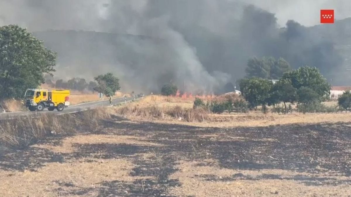 Controlados los incendios de El Molar y Loeches y apagados el de Tres Cantos y Monte Albantos