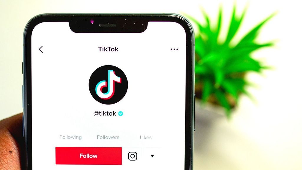 Un hombre ha sido condenado a cuatro meses de cárcel por quebrantar la orden de alejamiento de su expareja al visitar su perfil de TikTok