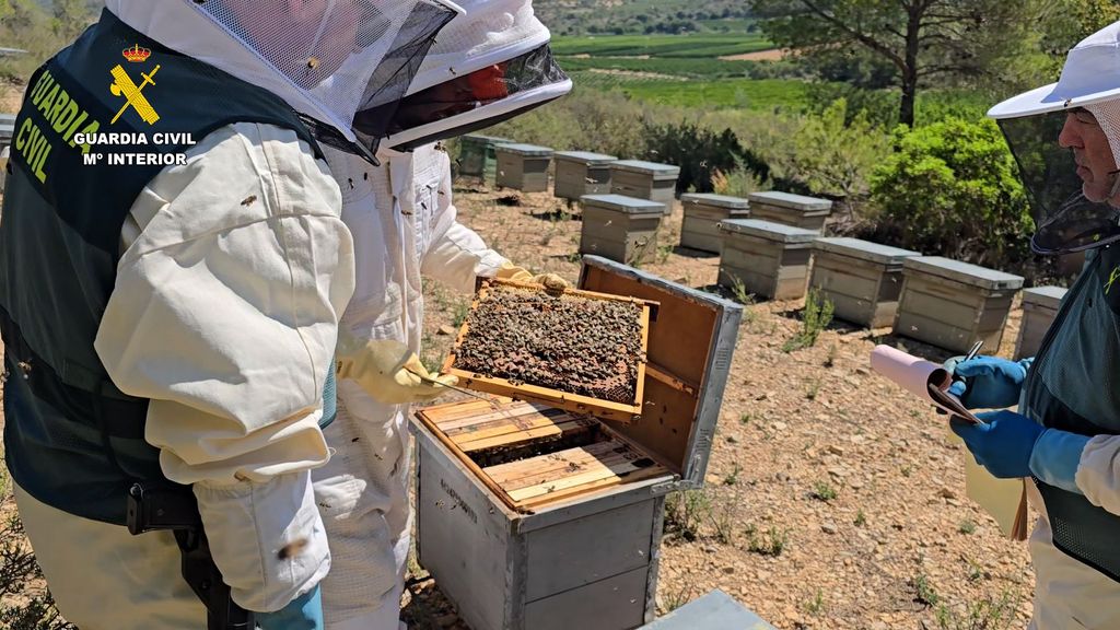 11 investigados por vender más de 40 toneladas de miel ecológica contaminada de China