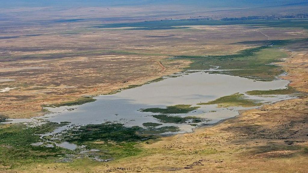 Dos turistas vascas mueren en un accidente de tráfico en un parque natural de Tanzania