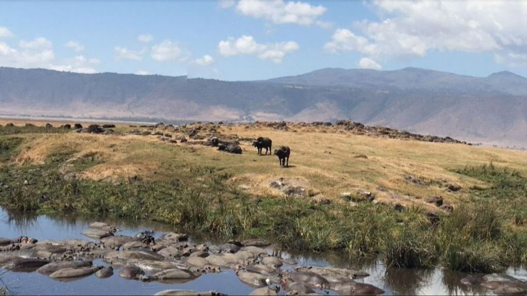 Zona de conservación de Ngorongoro