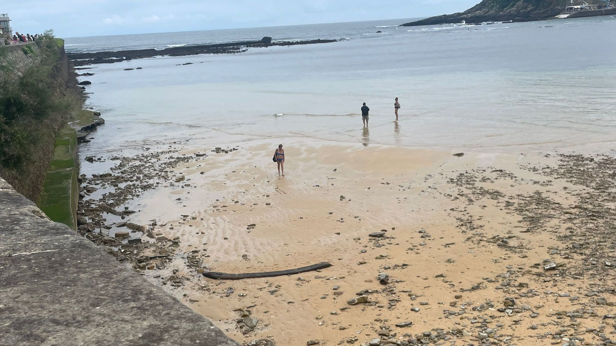 La pieza fue hallada el pasado 5 de agosto por un biólogo