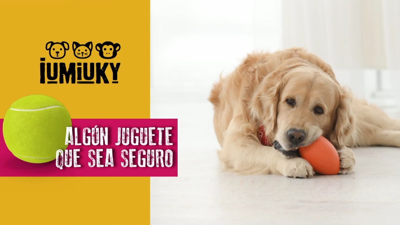 f9ebc00e ef09 4646 a35d e8e8a365dcc6 source aspect ratio default 0