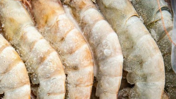 Un estudio revela que uno de cada tres productos etiquetas como gambas, langostinos, carabinieros no lo son