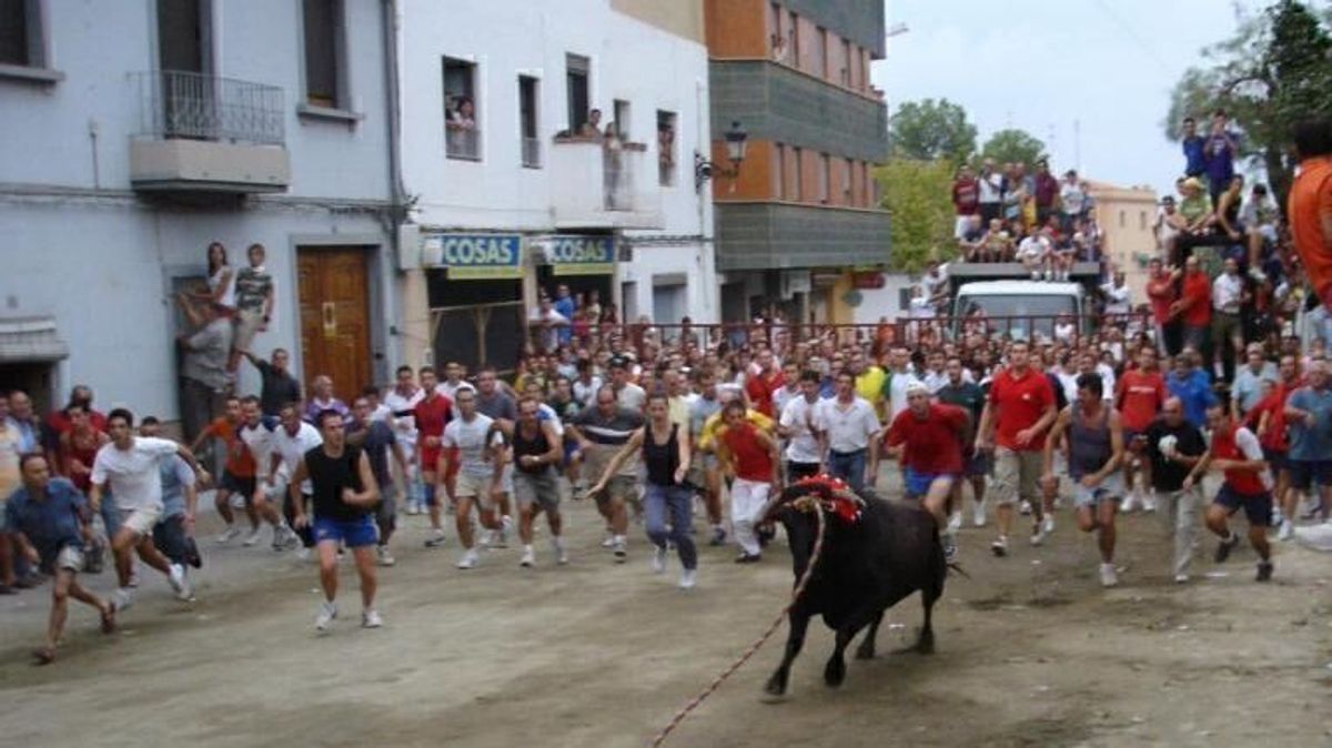 El Ayuntamiento de Chiva recibe una negativa de la Conselleria para los festejos del Torico debido a un expediente presentado fuera de plazo