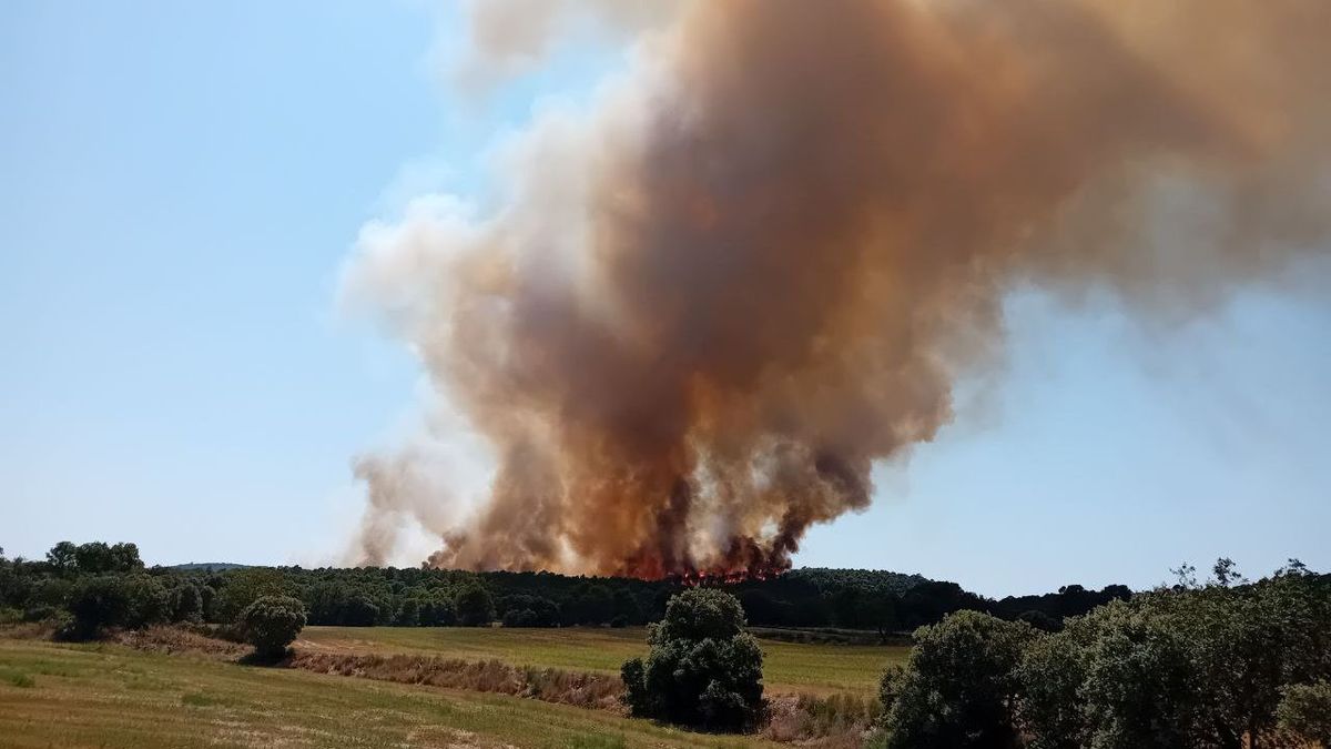 Incendio en Vilanova de Meià, en Lleida