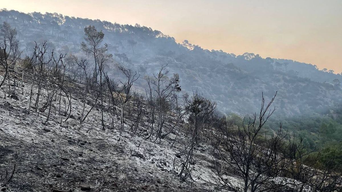 Terreno quemado en Artesa de Segre, Lleida