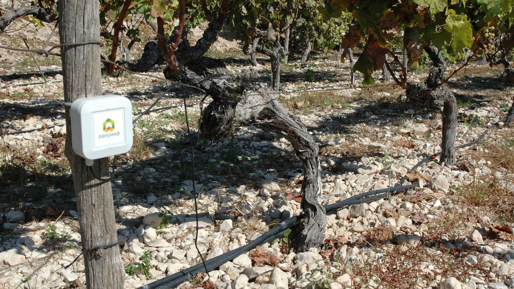 Dispositivo inteligente de Prismab para ahorrar agua en el campo