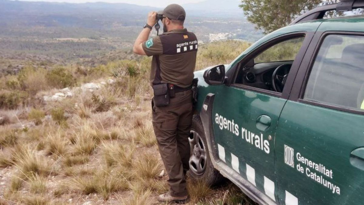 Un agente rural vigila posibles incendios en Cataluña