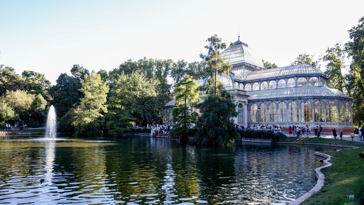 Un paseo para huir del calor bajo la sombra de los Árboles Singulares de Retiro, Recoletos y El Prado