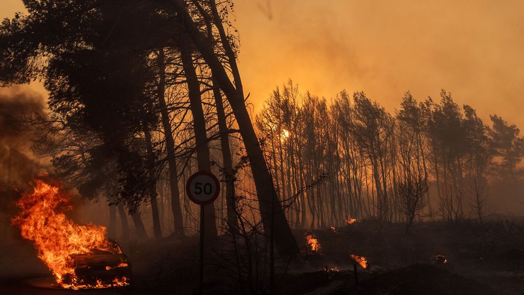 Incendio en Grecia: el fuego llega a las puertas de Atenas y ya hay 50.000 personas evacuadas