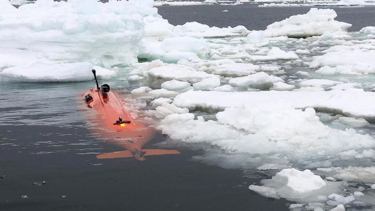 La expedición se llevó a cabo en regiones de hielo a la deriva en la Antártida Occidental en 2022. En la visita de regreso en 2024, Ran desapareció sin dejar rastro bajo el hielo