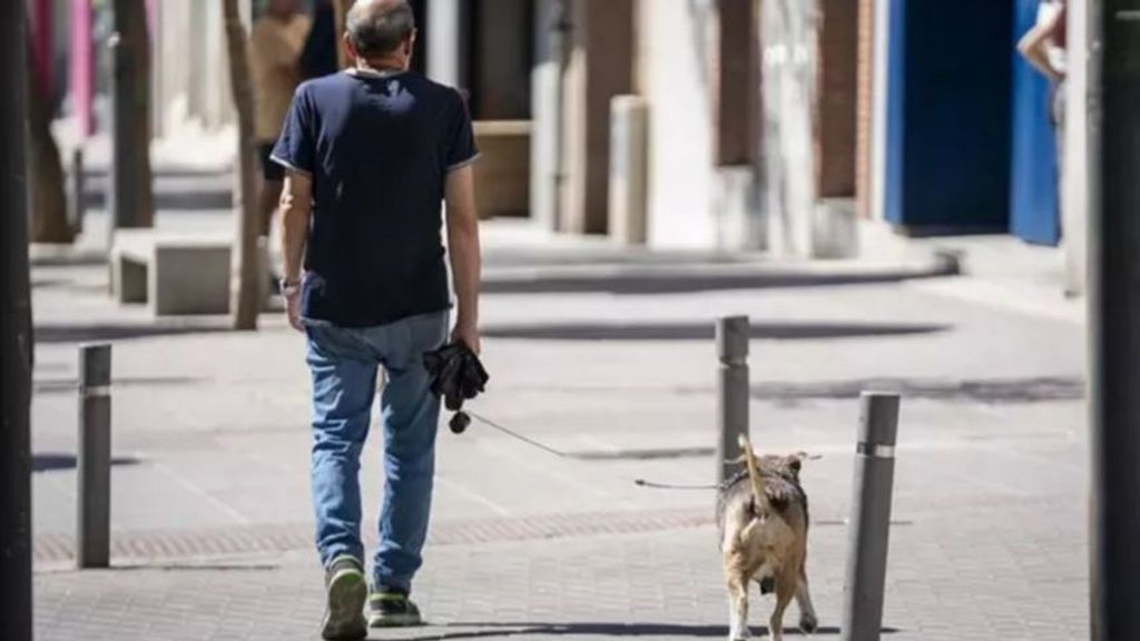 Un hombre pasea a su perro por una calle de Madrid. ARCHIVO