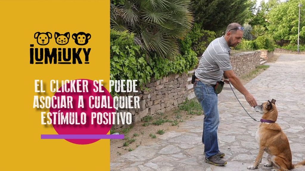 El clicker Iumiuky Temporada 3 Programa 228