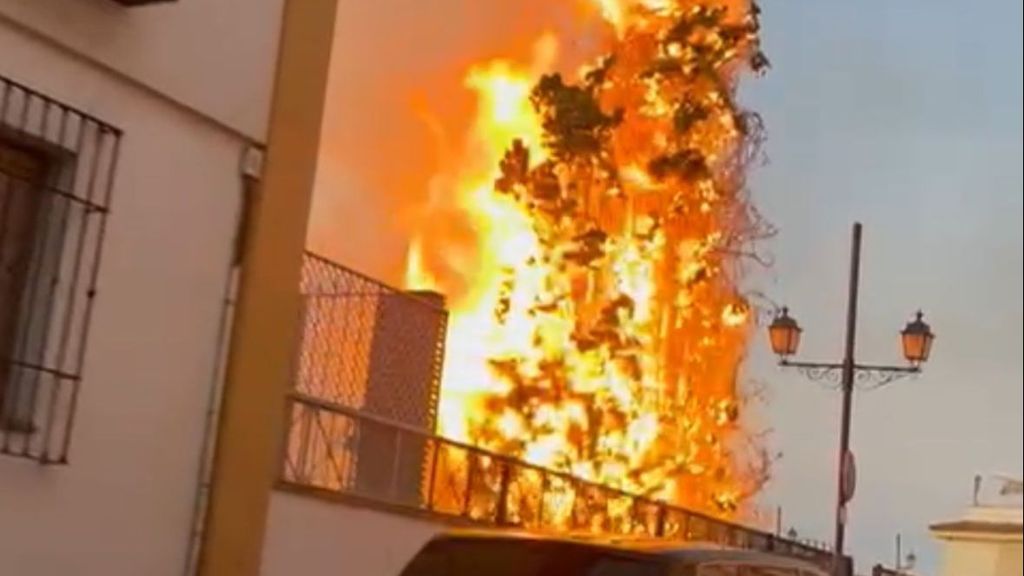 Incendio de un árbol en el casco urbano de La Zubia, Granada