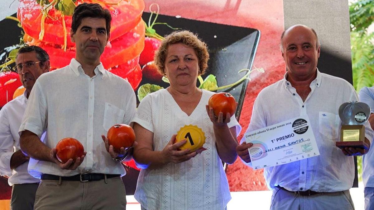 Tomates huevo de toro subastados por 6.000 euros en Coín, Málaga