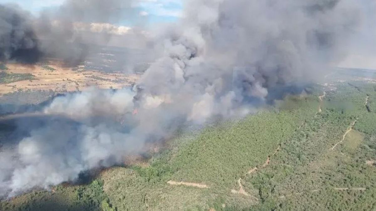 Evacúan la población de Sejas de Aliste y cortan la N-122 por un incendio en Zamora