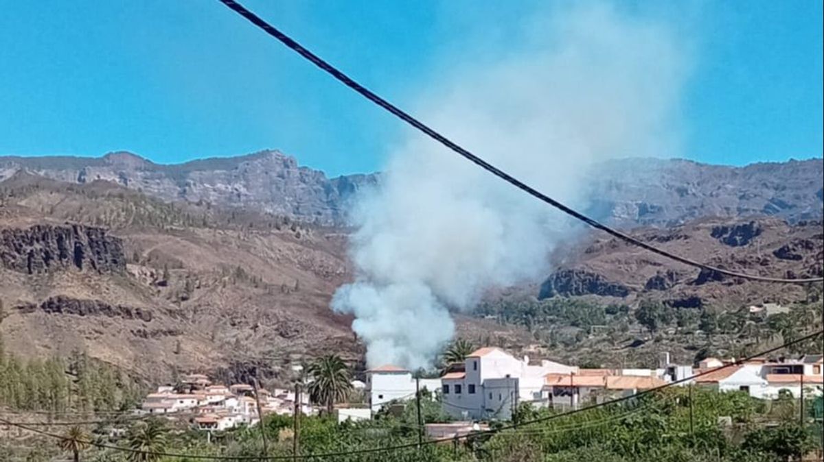 Incendio en el palmeral Fataga, dentro del municipio de San Bartolomé de Tirajana (Gran Canaria)