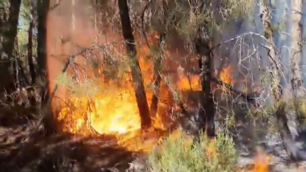 El incendio en Zamora, casi estabilizado: muere un hombre por un infarto al ser evacuado