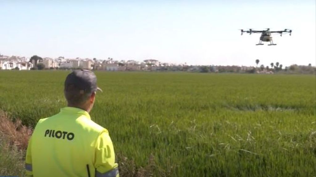 La Puebla del Río, Sevilla, usa drones y helicópteros para combatir el virus del Nilo