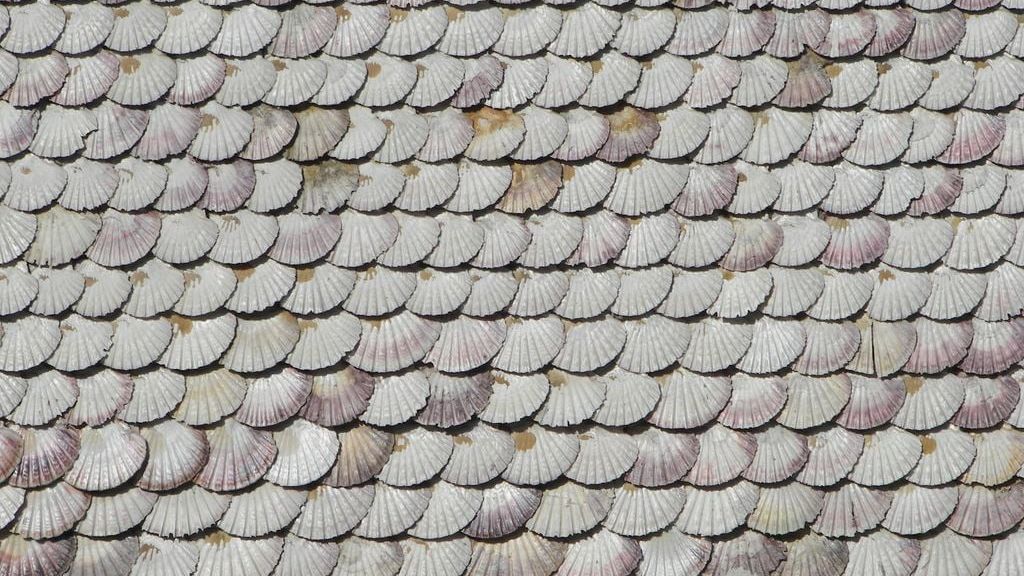 Detalle de las miles de conchas que cubren el emblemático edificio y que le dan ese color rosáceo particular