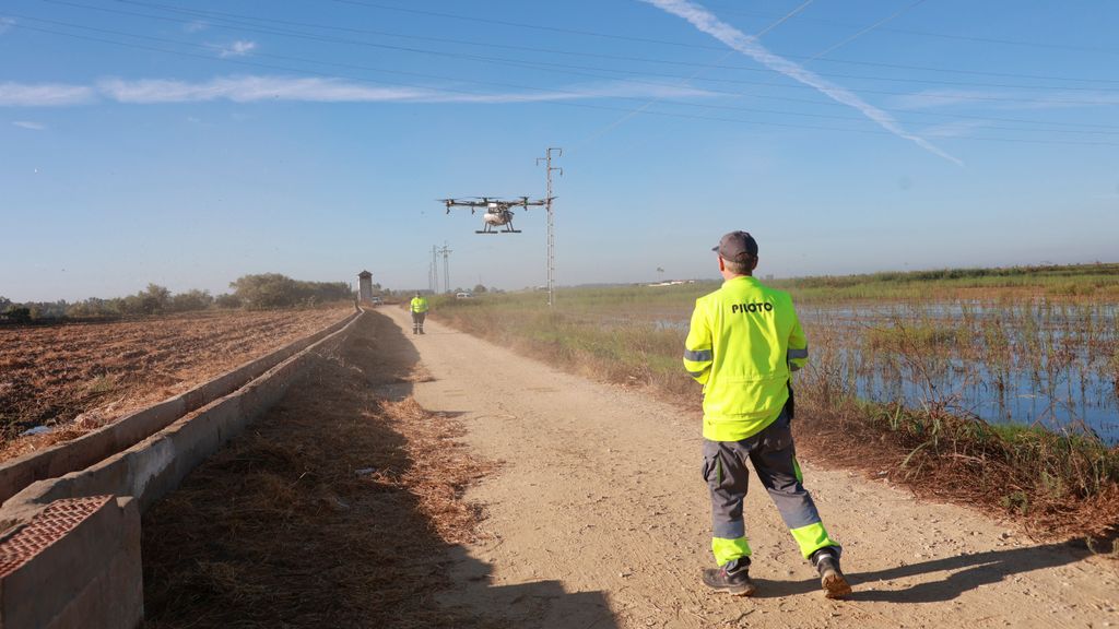 Refuerzan con drones el tratamiento contra los mosquitos que propagan el virus del Nilo