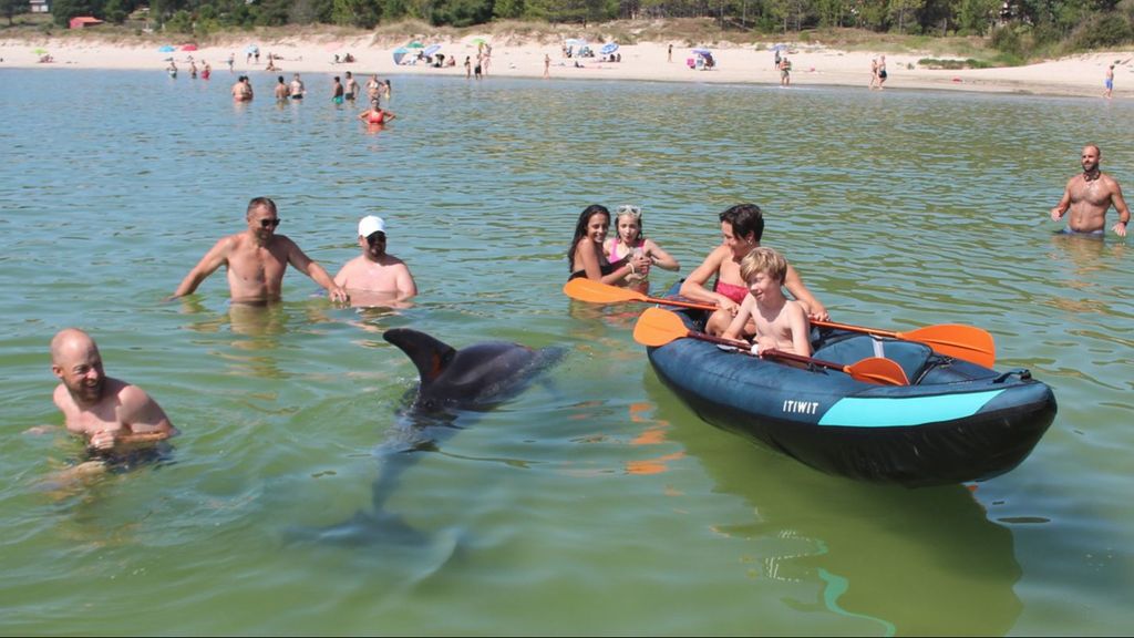 Bañistas interactuando con el delfín más famoso de Galicia