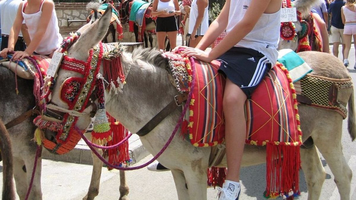 Burro-taxi en Mijas, Málaga