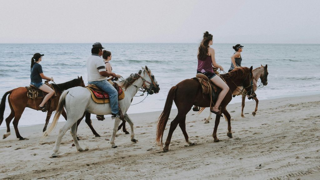 caballo playa pexels