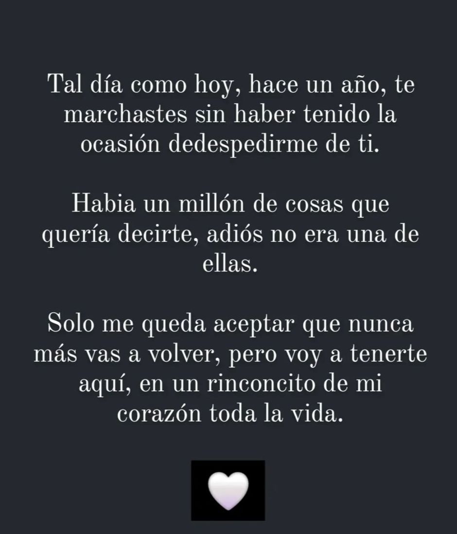 Captura de pantalla de una historia de Instagram de María Jesús Díaz, madre de Albert Rivera.