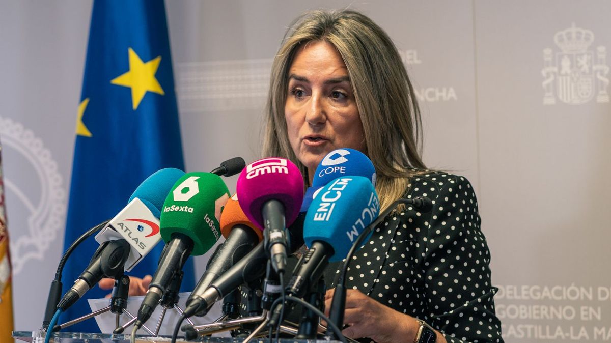 La delegada del Gobierno en Castilla-La Mancha, Milagros Tolón, comparece ante los medios