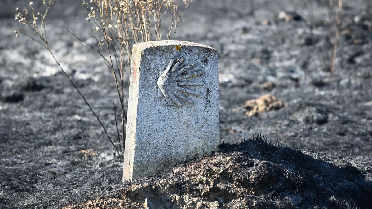 Medios de extinción evitan que el incendio de Astorga (León) amenace núcleos de población