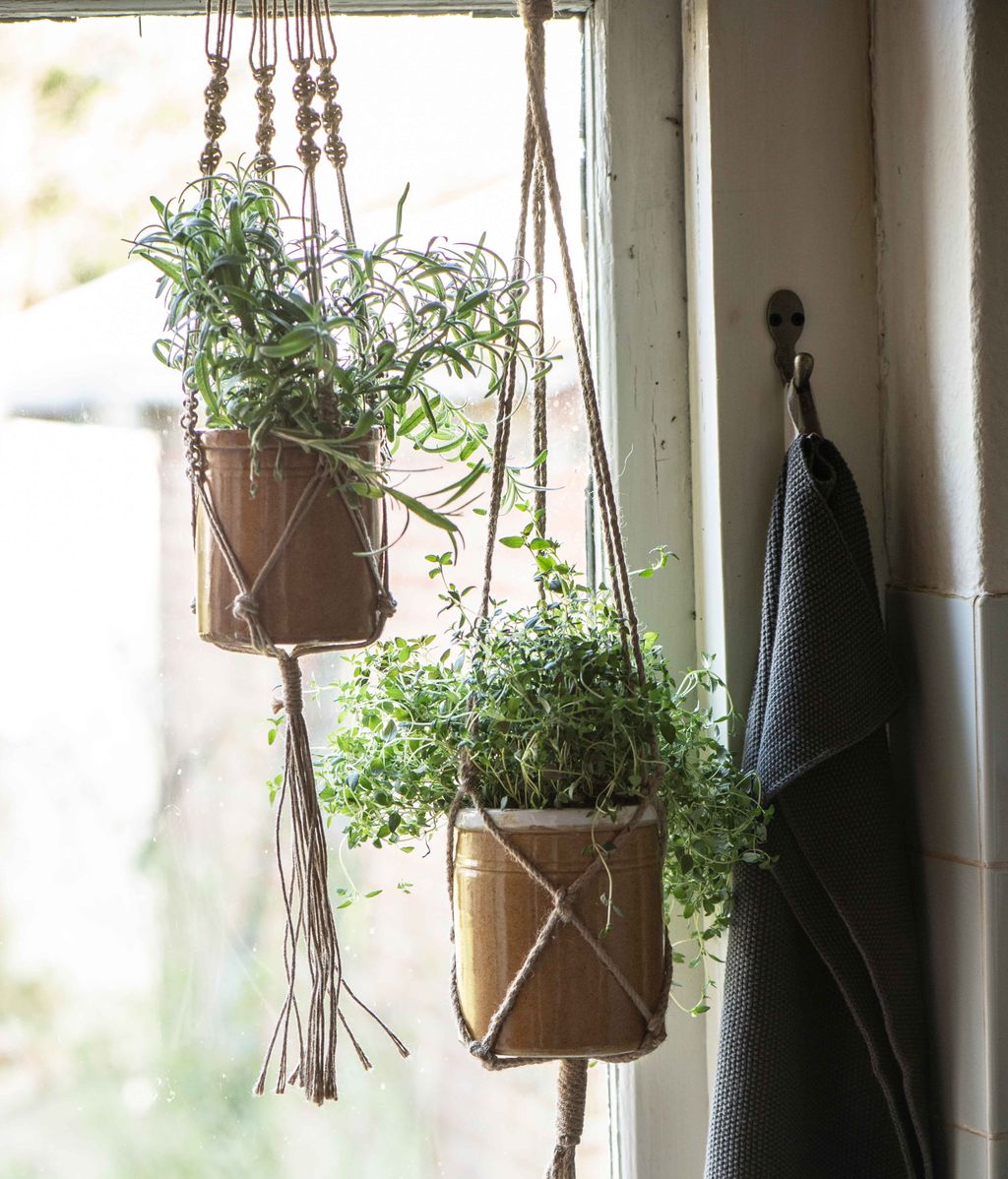 Trucos de jardinero para cuidado plantas