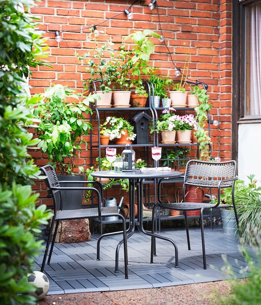 Trucos de jardinero para cuidar plantas