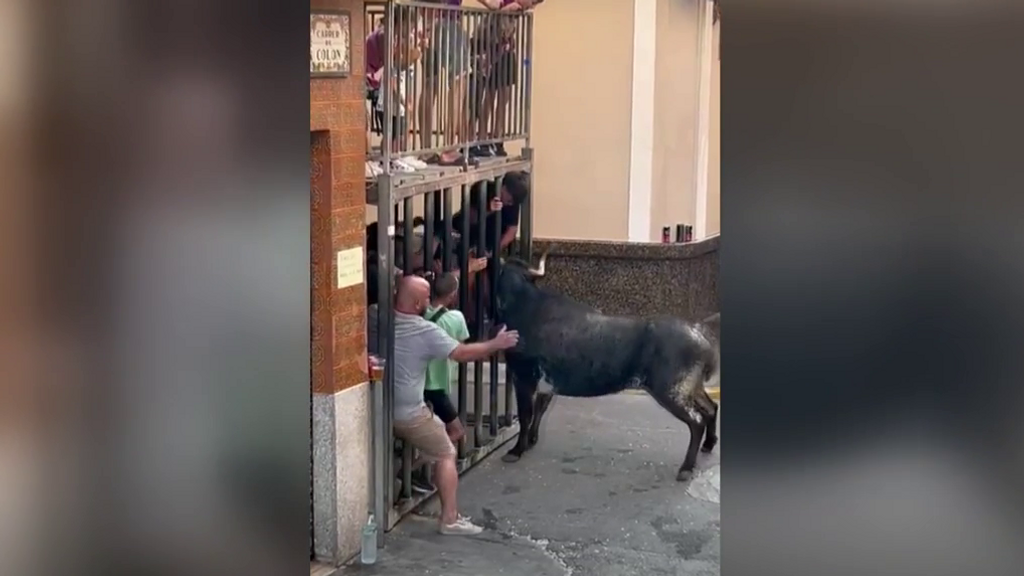 Un menor de 15 años, hospitalizado tras ser corneado en los bous al carrer de Vilarmarxant, Valencia