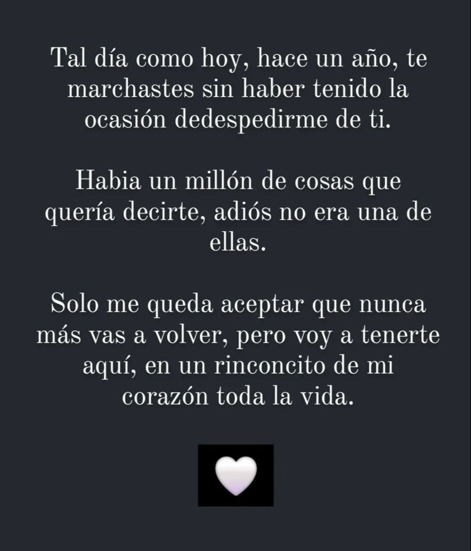 Captura de pantalla de una historia de Instagram de María Jesús Díaz, madre de Albert Rivera.