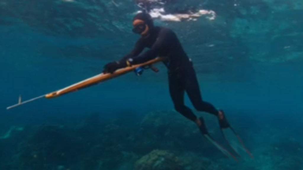 Un buceador realiza pesca submarina